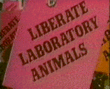 a protesters' placard