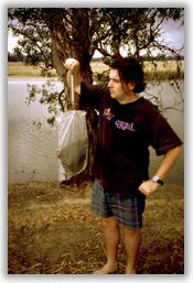 Image - Animal in trap