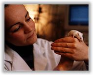Researcher with Rat