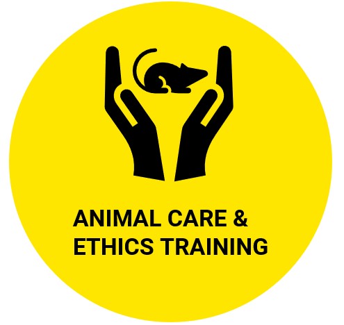Animal Care and Ethics Training | UNSW Research
